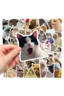 kedi1