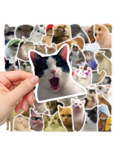 kedi1